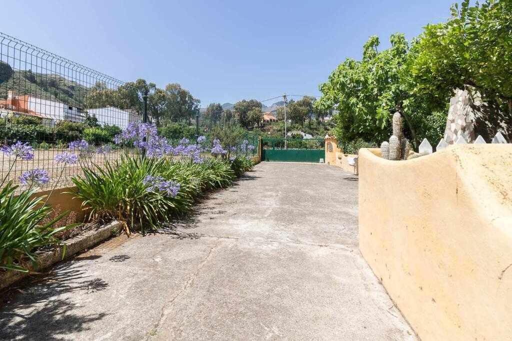 Villa Ojuelos Gran Canaria Vega de San Mateo Eksteriør bilde